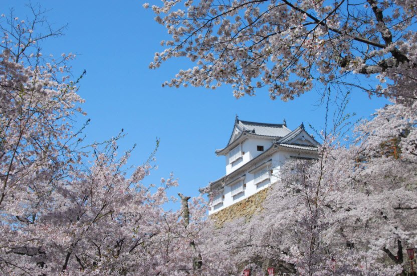 Tsuyama Castle, Japan